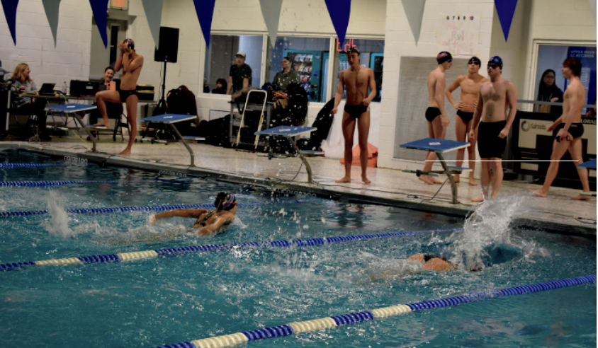 Swimming success: The boys’ swimming team faces off against Upper Darby in its first home meet after securing its 100th consecutive win against Haverford one month earlier. The team became the first team from Conestoga to reach the win streak.